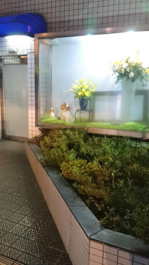 Hotel Loire (Adults Only) Osaka Bagian luar foto